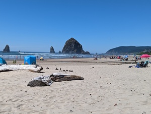 Cannon Beach